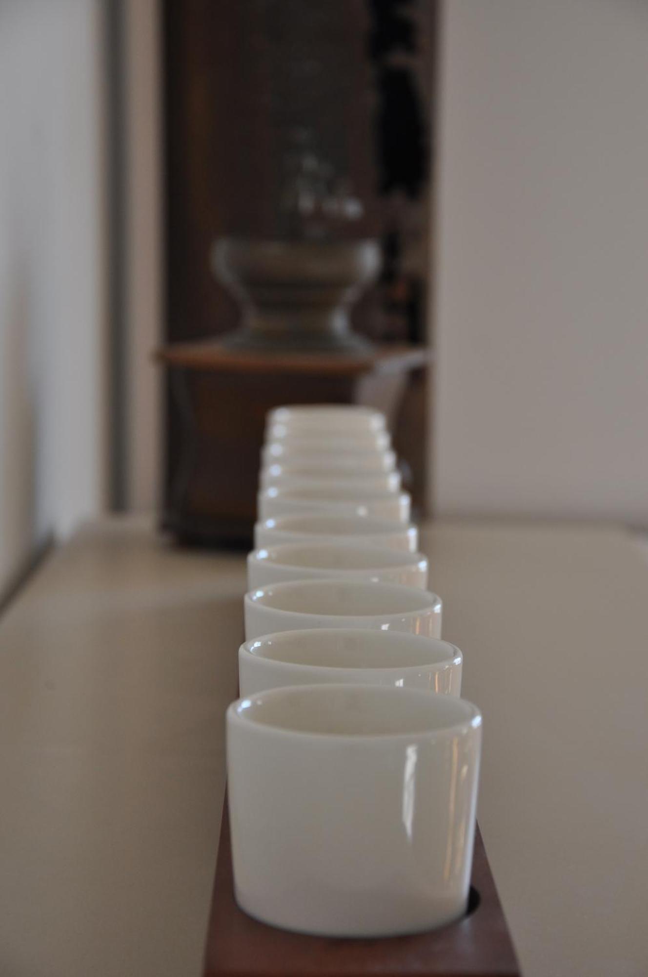 La Fille Du Berger Bed and Breakfast Puissalicon Εξωτερικό φωτογραφία