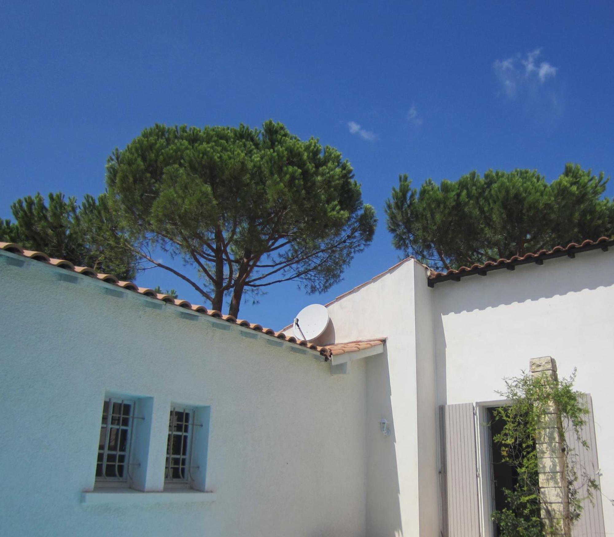 La Fille Du Berger Bed and Breakfast Puissalicon Εξωτερικό φωτογραφία